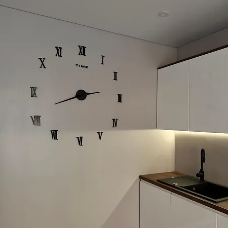 Park House Palyanytsya